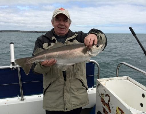 Mackerel, pollack and coalies dominate catches for anglers on Tigger pollack