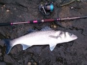"Time Out" Fishing with Jim Hendrick