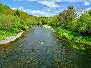 A dozen salmon to over 14lb for Bandon anglers