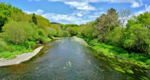 River Bandon Report W/E May 24th