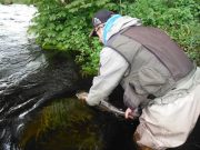 Red letter day for Cloghan Lodge Estate Fishery with 24 fish landed on Saturday Skinny releases another cracker on the Cloghan Lodge Estate Fishery on the Finn