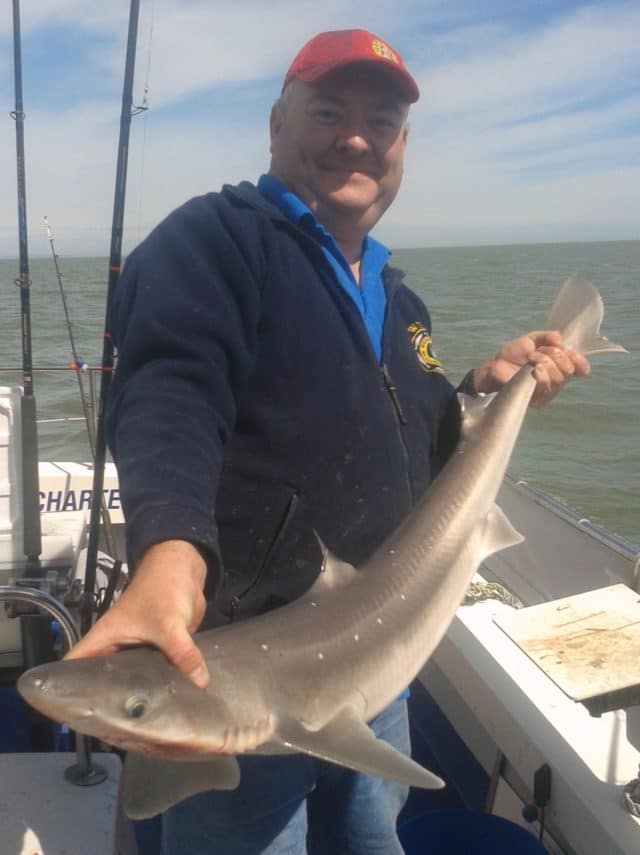Pat Swan, Irish International Angler, caught a Specimen Spurdog of 16.4lb last week