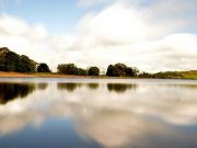 Hybrids, Bream and Perch as Muckno Slows Down