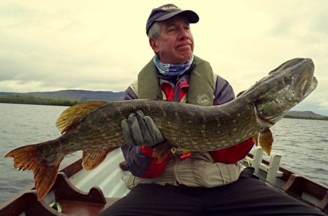 Steve Bates with one of many lure caught Mayo pike