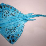 RAY