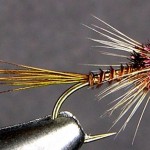 Sheelin – A Buzzer variant