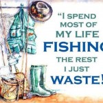 Sheelin – Cartoon quote