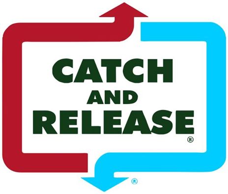 Sheelin - Catch & Release arrrows