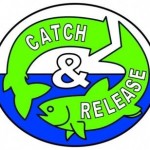 Sheelin – Catch & Release circle
