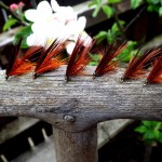 Sheelin – L.Finney’s Size 8 Dabblers
