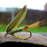 Sheelin – Lawrence Finney’s Sheelin Olive in size 10