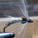 Sheelin – The Bog Fly