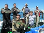 Austrain anglers get a taste of what Valentia has to offer