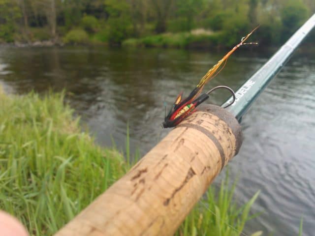 salmon fly