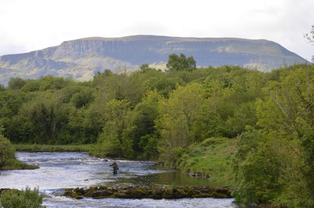 salmon fishing