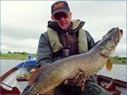 Some great pike for French Salmo Team in Mayo pike