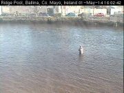 Dry and sunny weather impact salmon fishing on Moy Ridge pool