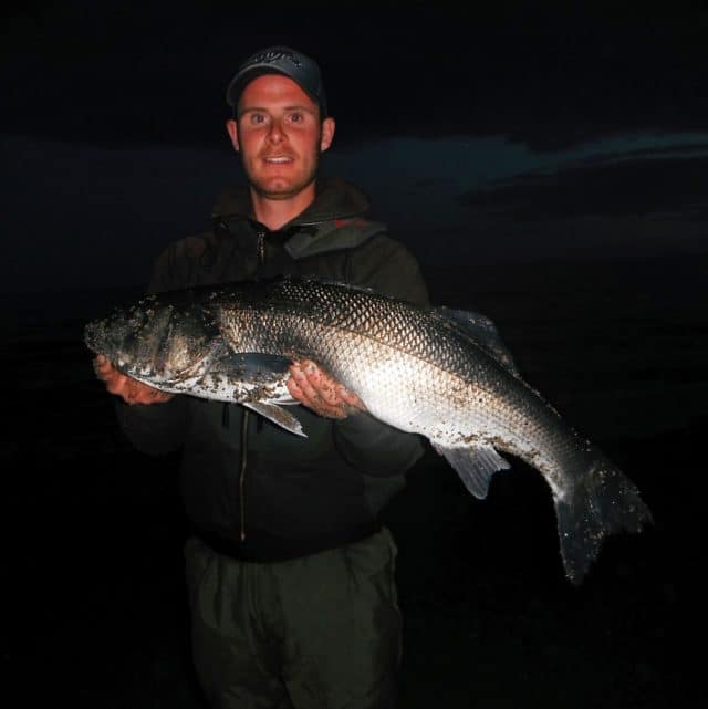 bass