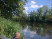 coarse angling
