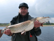 Some nice pike caught by the Lituanian fishing club at an outing on Lough Gowna