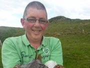 Donegal Bay shore marks continue to shine