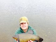 tench
