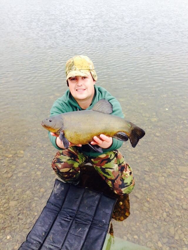 tench