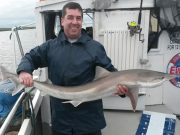 Sligo Bay reports its first tope of the season tope