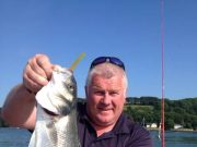 Cork Harbour bass anglers back in action in beautiful conditions bass