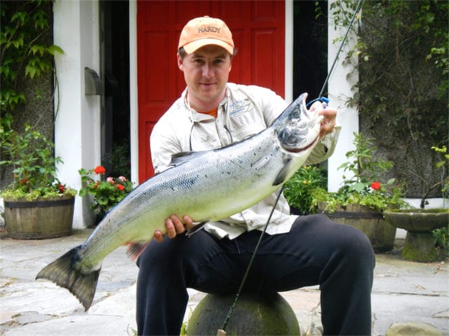 salmon