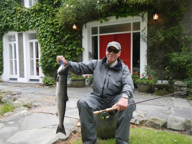salmon