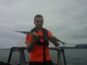 garfish