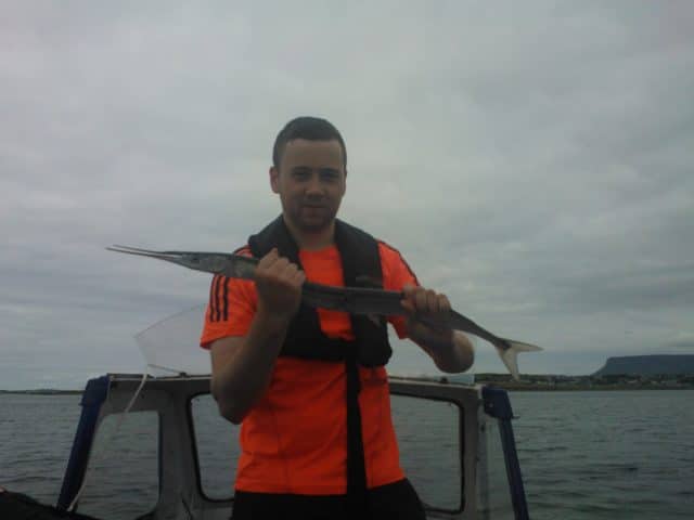 garfish