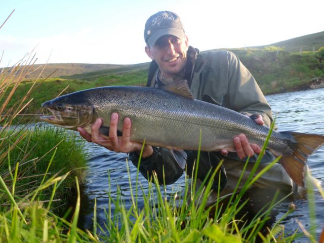 salmon