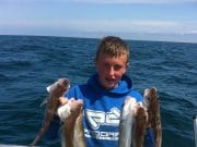 Blue shark, whiting and hake for Tigger in Clonakilty