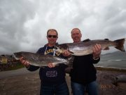 Salmon to 17 lb. reported this week from Lough Currane.