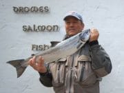 Good grilse run continues on the Drowes