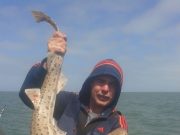 From good to great for the Wicklow Boat Charters crew