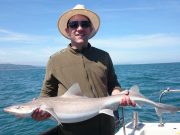 15.25lb smooth hound for Pat in Wicklow Bay