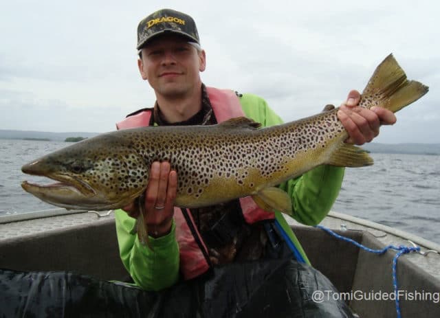 Marek Kozinski with a beautiful 86cm ferox trout from Lough Corrib, taken while fishing with guide Tomi Kurman, June 2014
