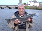 242 salmon on the Moy despite thundery showers and up and down water salmon