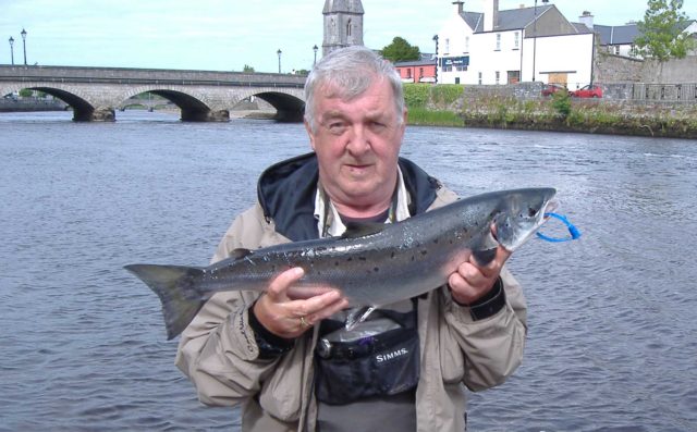 salmon