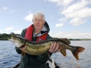 10 lovely pike on colourful lures and in great condition at Derravaragh Worth its weight in Gold. Willie Worth with his first Derravaragh pike
