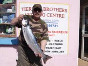 Fresh grilse downstream of Foxford