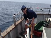 Specimen Whiting, Conger, Blue Shark, Bass and many other species reported from Courtmacsherry.