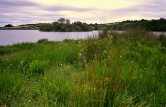 Fishing Slow on Lough Egish at the Moment
