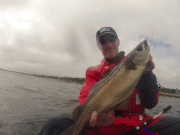 Connemara kayaking for pollack and wrasse pollack