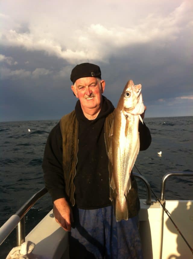 whiting whiting
