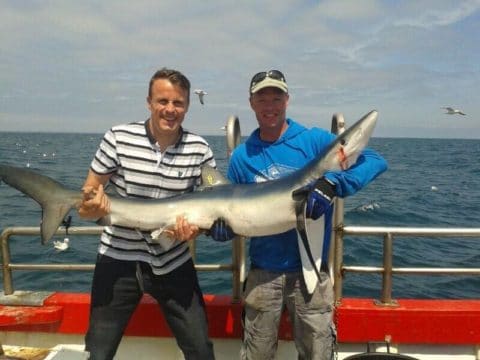 Congratulations to Steven Rayner who records the first blue shark of the season