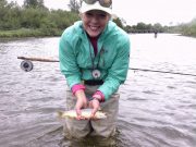 Fine trout on the Maigue and a good Deel of wilderness fishing trout